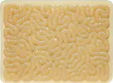 Mona Hatoum, Rubber Mat, 1996, Molded silicone rubber sculpture,