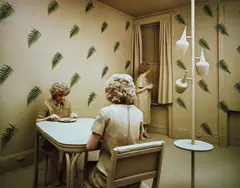Ferns by Sandy Skoglund, 1980, Dye destruction print, on glossy photo paper, with full margins,, offered Apr 2013