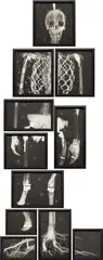 Missing Link II (After Booster) by Matthew Day Jackson, 2008, The complete set of eleven part set of photogravures, on wove paper, the full sheets,, sold Oct 2013