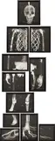 Matthew Day Jackson, Missing Link II (After Booster), 2008, The complete set of eleven part set of photogravures, on wove paper, the full sheets,