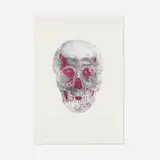 The Dead (Silver Gloss/Loganberry Pink) by Damien Hirst, 2009, foil block print in colors, sold Jan 2026