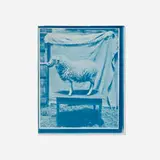 John Dugdale, Prize Lamb, Stone Ridge, NY