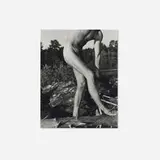 Bruce Weber, Tyke, Bear Pond, Adirondacks