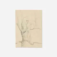 John Lear, Untitled, c. 1965, graphite on paper