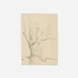 John Lear, Untitled, c. 1965, graphite on paper