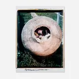 Robert Rauschenberg, Untitled, unique large-format Polaroid Polacolor print