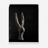 John Divola, Untitled