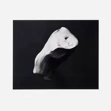 Erin Shirreff, Untitled (Series 1), 2009, gelatin silver print