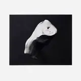 Erin Shirreff, Untitled (Series 1), 2009, gelatin silver print