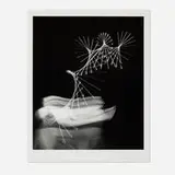 Harold Eugene Edgerton, Untitled (Baton Multiflash)