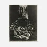 Albert Chong, Codfish Throne with Coconut Vessels and Joshua Tree Spines, gelatin silver print from T55 P/N Polaroid Positive/Negative 4x5 film Type 55