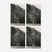 Roman Signer, Flugblätter, gelatin silver print in four parts