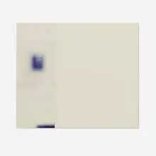 Uta Barth, Ground #54, 1995, C-print mounted to panel