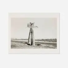 Henry Wessel, Jr., Desert, gelatin silver print