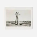 Henry Wessel, Jr., Desert