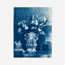 McDermott & McGough, Front Parlor, Sandymount Ave., cyanotype
