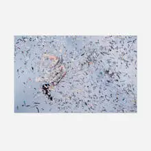 Weather #6 by Rosemary Laing, 2006, C-print mounted to Dibond, sold Dec 2025