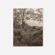 Jan Groover, Playing Field, New Jersey, 1981, platinum print