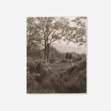 Jan Groover, Playing Field, New Jersey, 1981, platinum print
