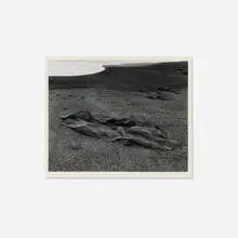 Paul Caponigro, Pebble Beach, California, c. 1969, gelatin silver print