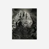 Edward Weston, Yosemite