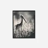 Stork in the Grass (from the Monique's Kindergarten series) by Michael Kenna, sepia-toned gelatin silver print, sold Dec 2025