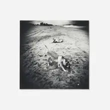 Meg Madison, Untitled (Beach Picture series), 1999, toned gelatin silver print