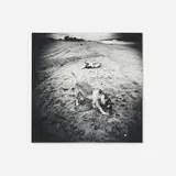 Meg Madison, Untitled (Beach Picture series), 1999, toned gelatin silver print