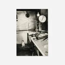 Mark Edward Harris, Fishery, Samos, Greece, 1991, gelatin silver print