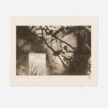 Celine Wu, Presence In Between, c. 2014, platinum print