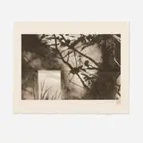 Celine Wu, Presence In Between, c. 2014, platinum print