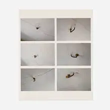 James Welling, Hooks, 2010, C-print
