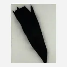 Donald Sultan, Black Tulip, April 24, 1984, 1984, charcoal on paper