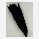 Donald Sultan, Black Tulip, April 24, 1984, 1984, charcoal on paper