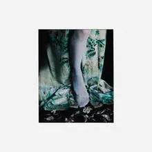 Untitled by Sandi Fellman, 1981, C-print, sold May 2026