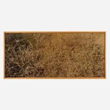 Richard Misrach, Untitled, 2002, C-print mounted to acrylic in artist-specified frame