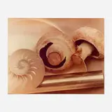 Jan Groover, Untitled, 1979, C-print