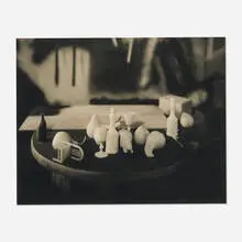 Jan Groover, Still Life, platinum print