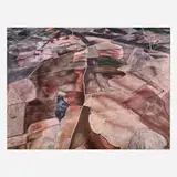 Edward Burtynsky, Dryland Farming #31, Monegros County, Aragon, Spain