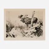 Carl Rungius, Alaskan Wilderness, 1928, etching with drypoint