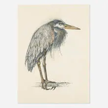 John Alexander, Angry Heron, 2000, lithograph in colors on Somerset