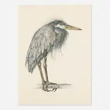 John Alexander, Angry Heron, 2000, lithograph in colors on Somerset