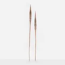 Tiwi, Ceremonial spears, set of two, painted and carved wood