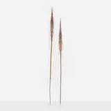 Tiwi, Ceremonial spears, set of two, painted and carved wood