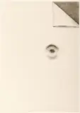 Richard Artschwager, Auge 1969