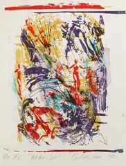 Carolee Schneeman, Vectors and Spin, Screen print