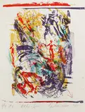 Carolee Schneeman, Vectors and Spin, Screen print