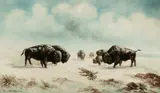 A. D. M. Cooper, Buffalo and Indian on Snowy Range, Oil on canvas