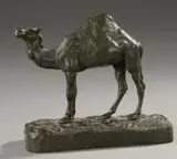 Alfred Barye, Camel