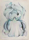 Lowell Blair Nesbitt, Iris